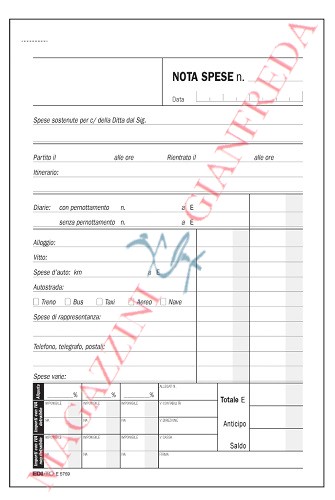 NOTA SPESA CON DETTAGLIO VOCI USO MANO E5769